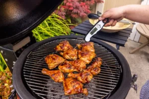 Lire la suite à propos de l’article Meilleurs Thermomètre à Viande 2025